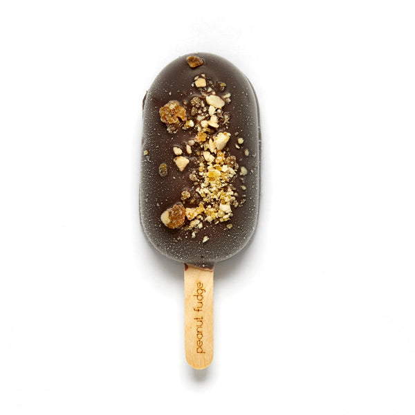 Peanut Fudge - Mini Stick