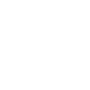 shop_icon